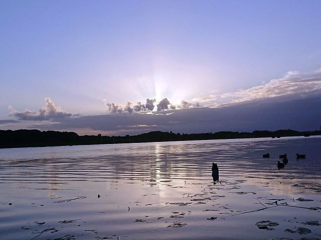Fotogalleri